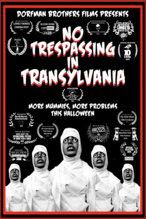 No Trespassing In Transylvania