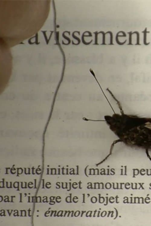 Love on the Bramble Path