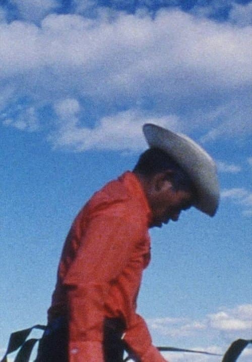 Anselmo and the Women