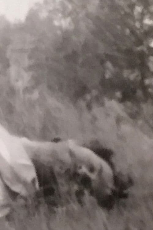 Anviti. Un Fatto Di Sangue