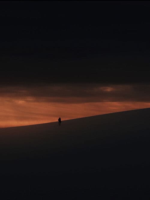 Dove gli Alberi non Parlano