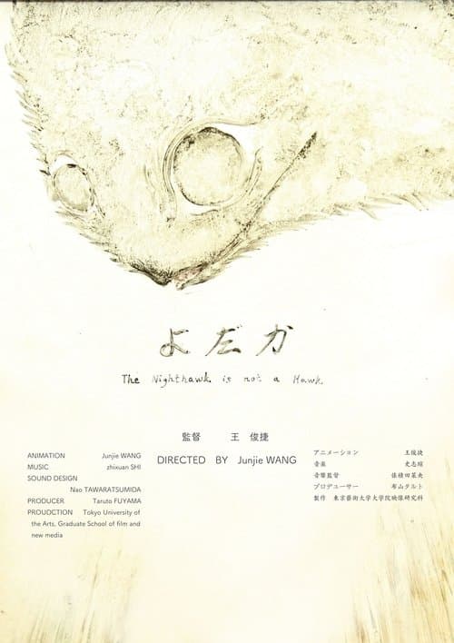 The Nighthawk Is Not a Hawk