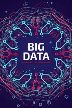 Big Data - La révolution des mégadonnées