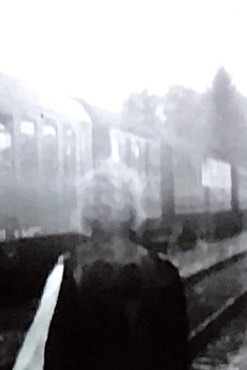 Die Ankunft Eines Zuges