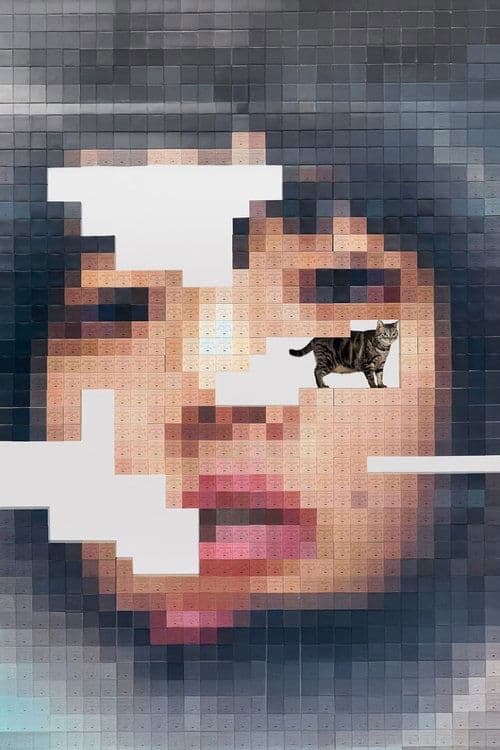 AIMYON TOUR 2023 -マジカル・バスルーム- IN TOKYO GARDEN THEATER