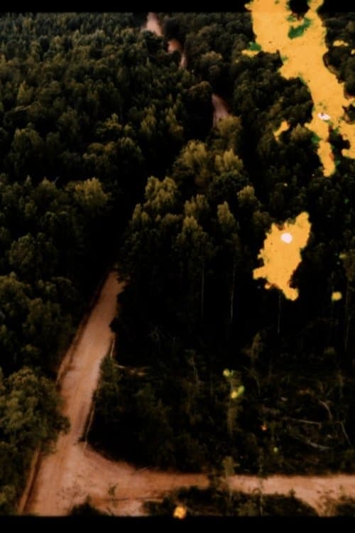 Boundary Exercise (On Perambulation)