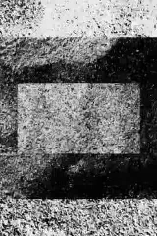 Ecosystem 29 ~ Density 3