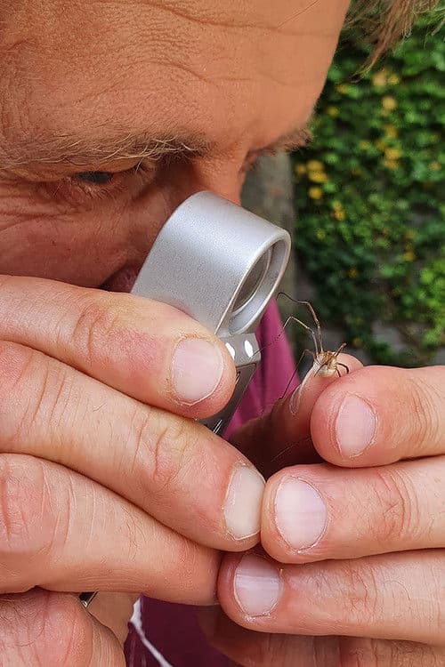 Geheimnisvolle Parktiere - Wildes Leben in der Stadt