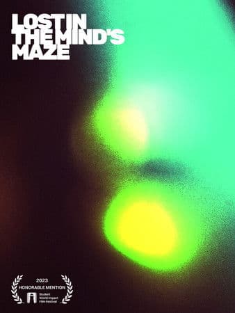 Lost in the Mind's Maze