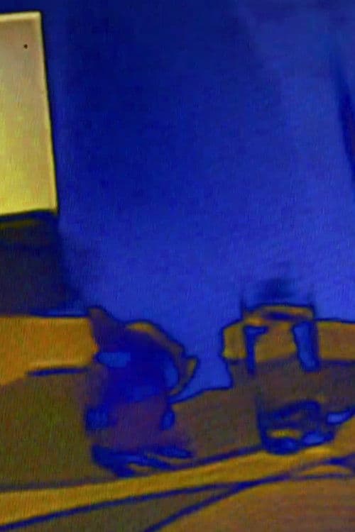 dia de sábado, infância estrela tv