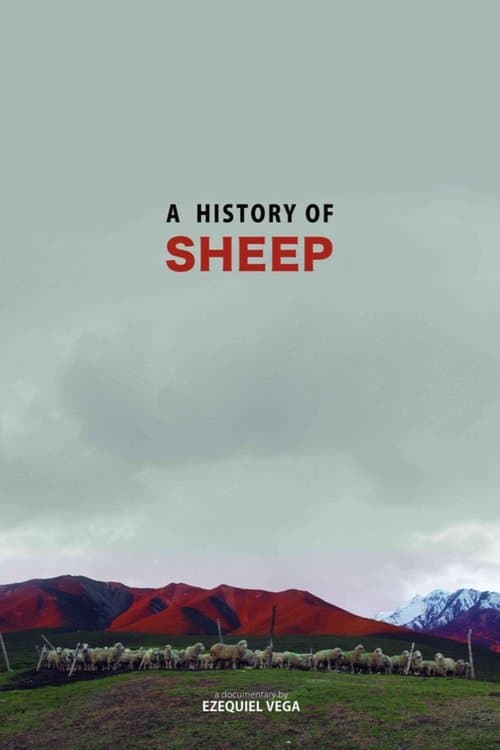 A History Of Sheep