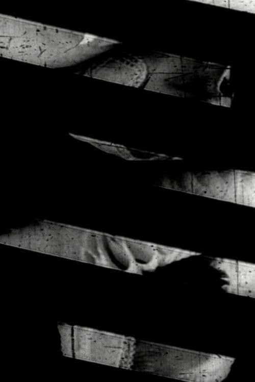 Window of the World Part 1: Hairstyle Colidascope