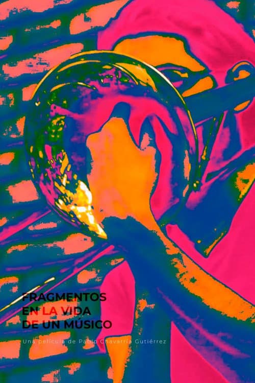 Fragments in a Musician's Life