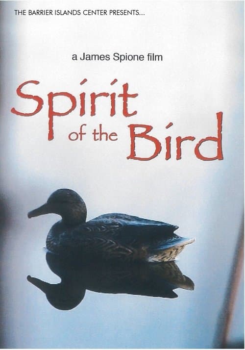 Spirit of the Bird
