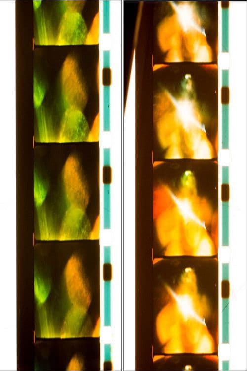 Quick Billy: Six Rolls; 14/41/43/46/47/52