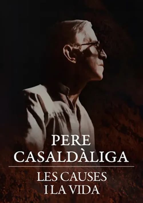 Pere Casaldàliga. Les causes i la vida