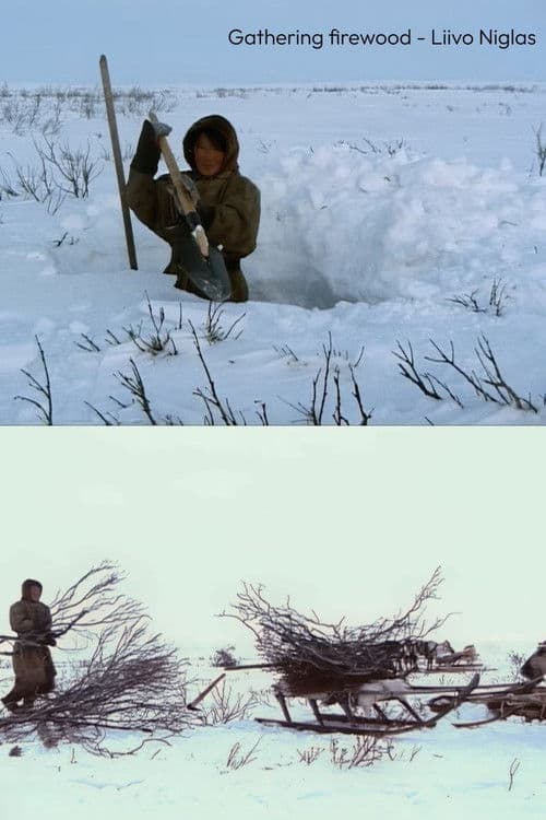 Gathering Firewood