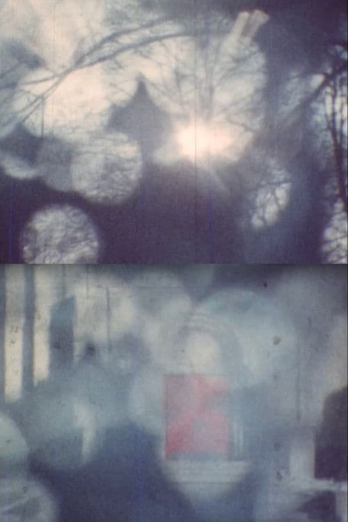 Film Diary #3 (In Memory of Kurt Kren)